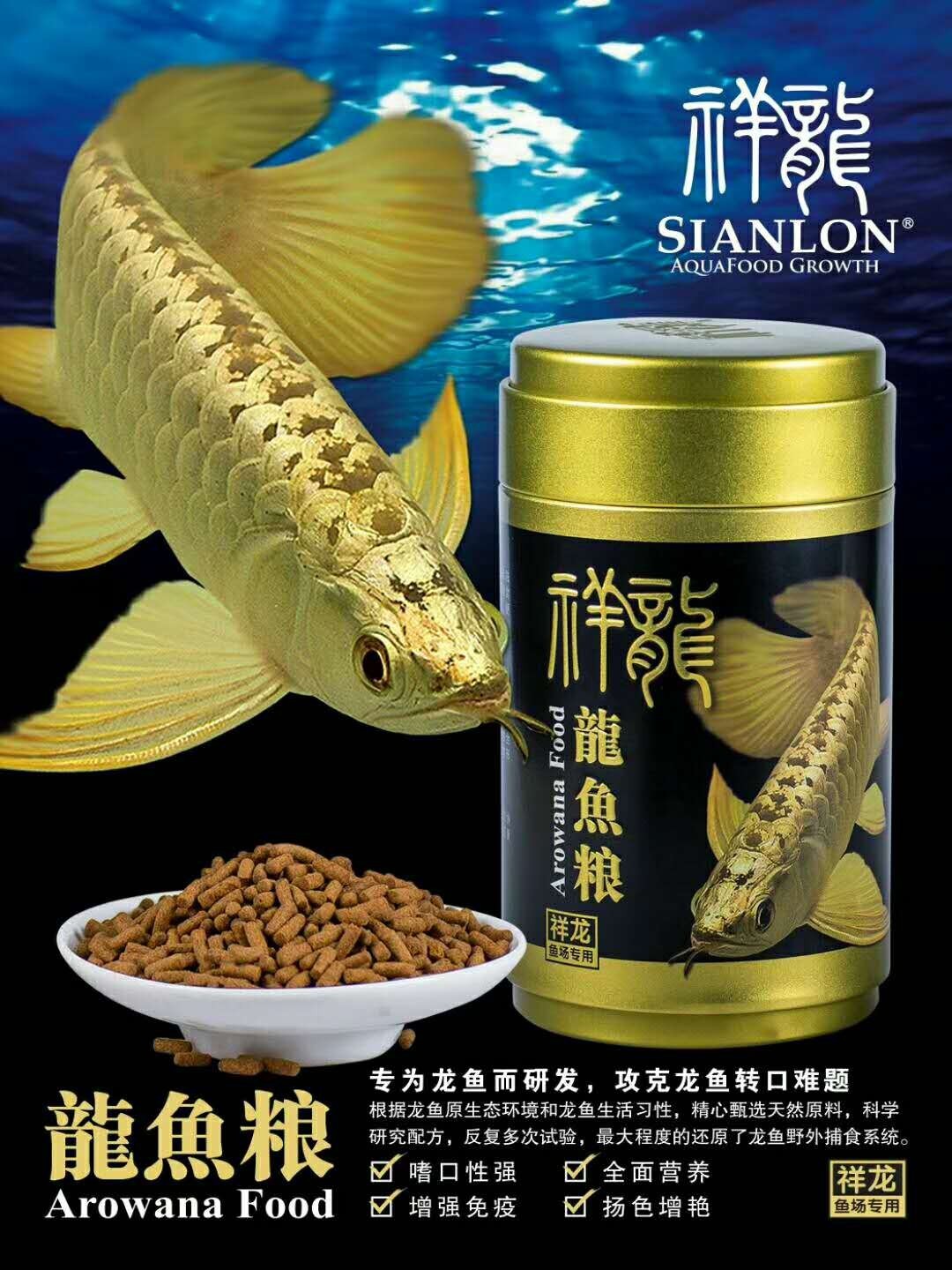 Bhutan Golden dragon fish food