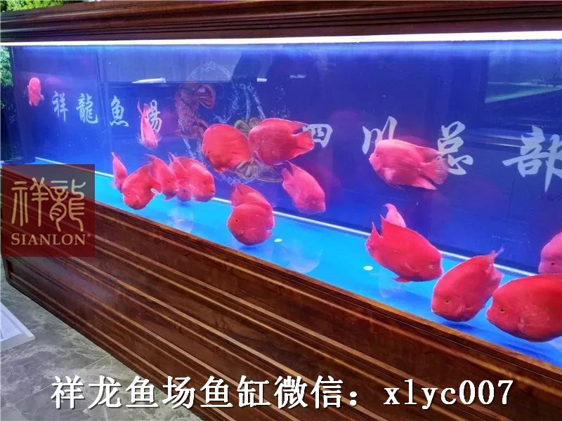 Bhutan Custom made aquarium in hotel exhibition hall