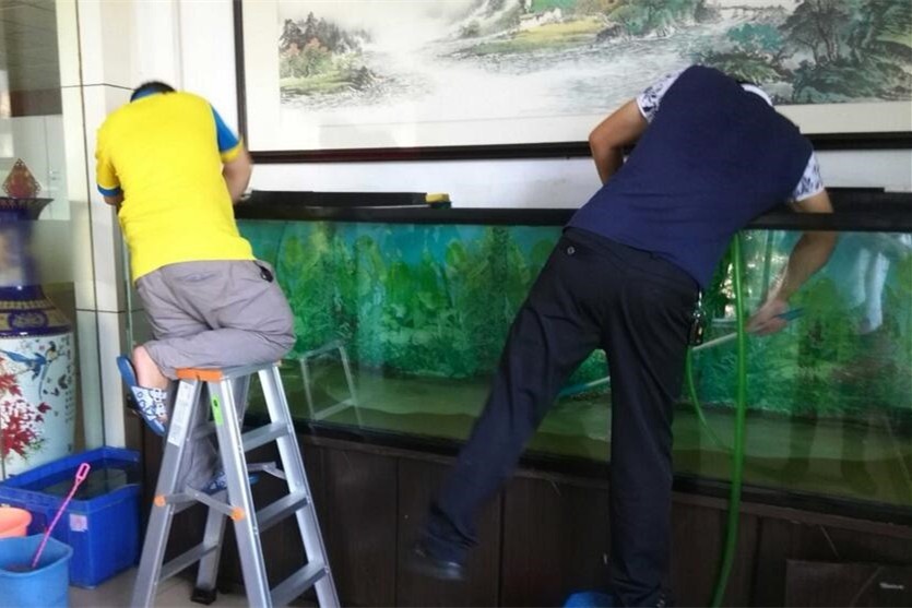 Bhutan Fish tank cleaning and maintenance