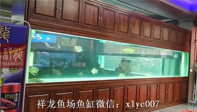 Bhutan Large aquarium customized 6M